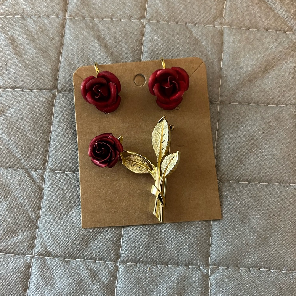 Clip earrings and broach